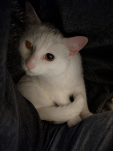 The somebody in question.