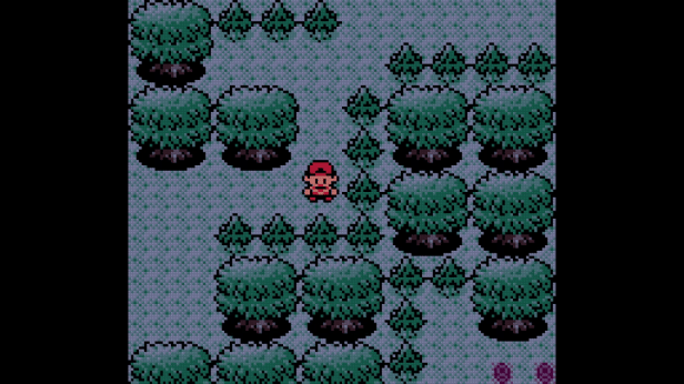 Looking for a Pineco in Ilex Forest.