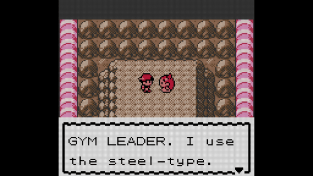 Jasmine announcing her preferred Pokemon type.